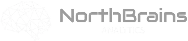 NorthBrainsLogo